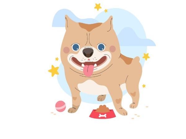Con số phú quý tuổi Tuất ngày 27/2/2025 giàu sang phú quý 1